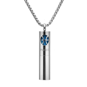 Nahaufnahme der Fische Sternzeichen-Kette mit blauem Inlay und Edelstahl-Boxkette