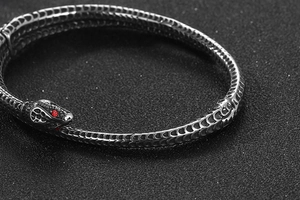 Détail macro de tête de serpent avec yeux en zircon rouge et motif d'écailles argent