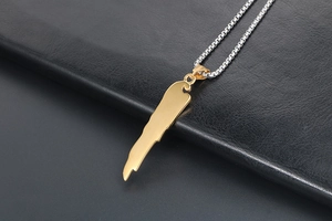 Polierter Gold-Landkartenanhänger mit silberner Box-Kette auf schwarzem Leder