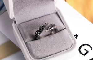 Dettaglio macro di anello a piuma d'argento con ali vintage in scatola per gioielli