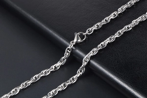 Détail du collier en acier titane avec finition polie et fermoir mousqueton robuste