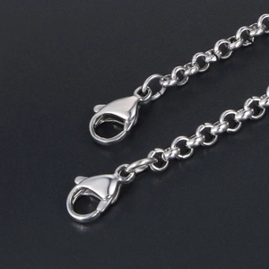 Collana a catena da uomo in acciaio al titanio argento con chiusura a moschettone