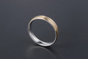 Detailed view of bicolor titanium steel ring with a gold frosted texture center band