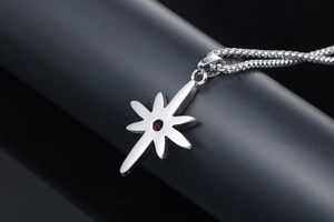 Macro view of silver star pendant necklace with red gemstone on box chain