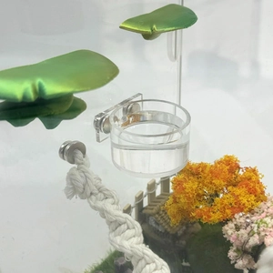 Magnetic acrylic feeder bowl with climbing rope and artificial leaves for spiders