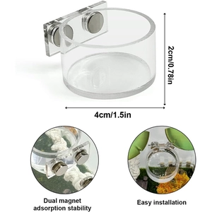 Magnetic acrylic reptile feeding ledge with dual suction magnets and size markings