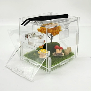 Transparent acrylic jumping spider terrarium with miniature landscape and feeding tweezers