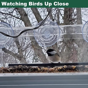 Clear acrylic window bird feeder with strong suction cups and black perch for outdoor use
