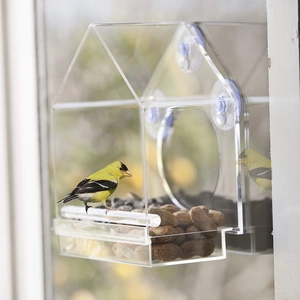 Clear acrylic window bird feeder with suction cups and goldfinch eating seeds