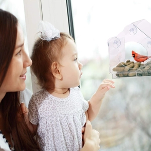 Close-up of a window-mounted clear acrylic bird feeder with a red bird feeding inside