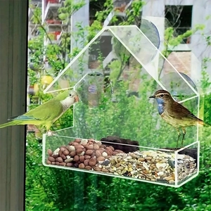 Triangle window bird feeder in clear acrylic with strong suction cups and feeding birds