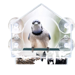 Clear house-shaped acrylic window bird feeder with suction cups and Blue Jay bird