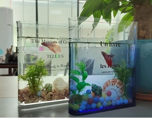 Creative book-shaped acrylic vase with artistic text on a desktop with betta fish
