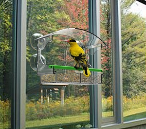 Acrylic window bird feeder with suction cups and yellow bird perching on a stand