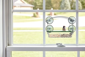 Window bird feeder with four strong suction cups and a green perch for wild birds