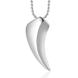 Collier Pendentif Dent de Loup en Acier Inoxydable pour Homme Pendentif Corne Poli Bijoux Style Punk Gothique Accessoire