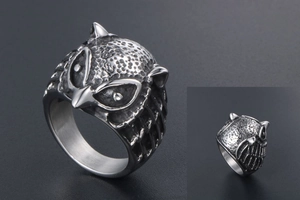 Macro shot of vintage silver owl ring featuring intricate feather texture and 3D details