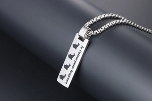 Macro shot of silver dolphin necklace pendant with French inscription and box chain