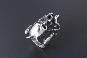Vue détaillée d'une bague gothique punk en acier titane avec motif de crâne et serpent