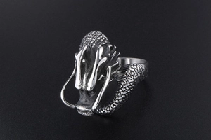 Macro view of vintage stainless steel dragon ring showing detailed scales and antique finish
