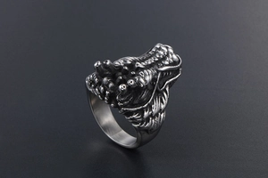 Detailed macro shot of vintage dragon head ring featuring intricate punk scale textures