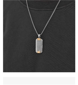 Close-up of brushed stainless steel dog tag necklace with gold accents and zircon stone
