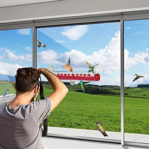 Window hummingbird feeder with red base and suction cups showing bird feeding on glass