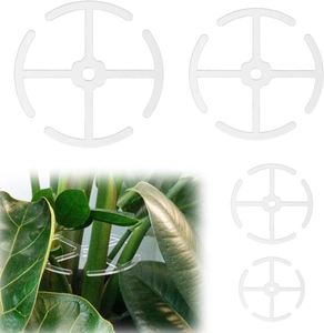 Détail des clips d'entraînement transparents pour la direction des tiges des plantes