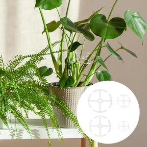 Lot de 4 tuteurs transparents pour Alocasia avec un design de grille radiale