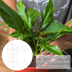 Lot de 4 tuteurs en plastique blanc pour Alocasia et protection du sol des plantes