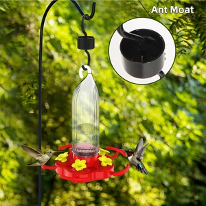 Detail of hummingbird feeder showing transparent tank and red base with ant moat hook