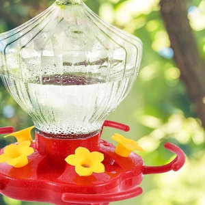 Hanging pumpkin glass hummingbird feeder with red base and yellow flower feeding ports