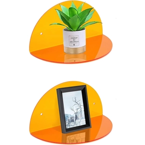 Detail of orange acrylic floating shelves with plants and frames on white background
