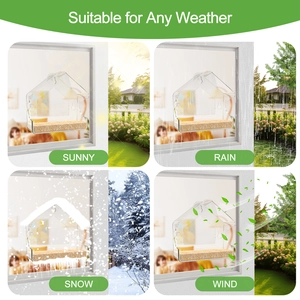 Clear acrylic window bird feeder with suction cups for all-weather outdoor use
