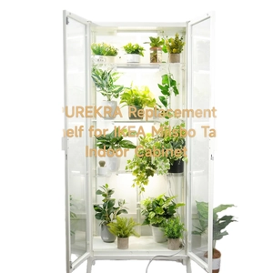 Acrylic replacement shelves for Milsbo Tall glass cabinet with indoor plants display