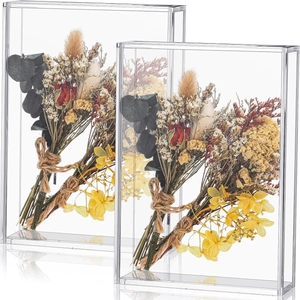 Set of two clear acrylic display frames featuring dried roses and natural flowers