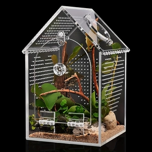 Transparent house-shaped acrylic reptile enclosure with ventilation for spiders and insects