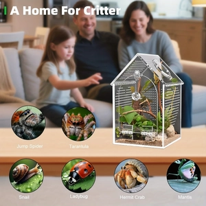 Transparent house-shaped acrylic insect terrarium with ventilation for spiders and reptiles