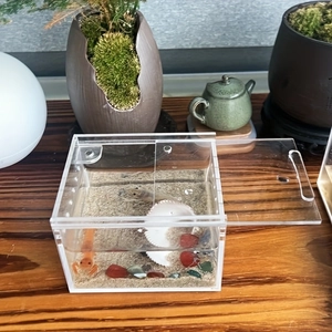 Transparent acrylic insect terrarium for small reptiles with ventilation holes and sliding lid