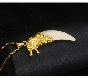 Macro view of gold wolf head pendant with white curved tooth on a black box chain