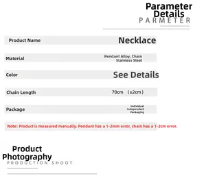 Close-up of alloy lion pendant with 70cm stainless steel chain and product specs