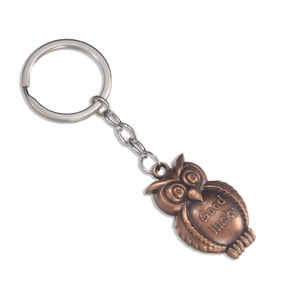 Vintage bronze owl keychain with Good Lucky engraving and metallic ring on white background
