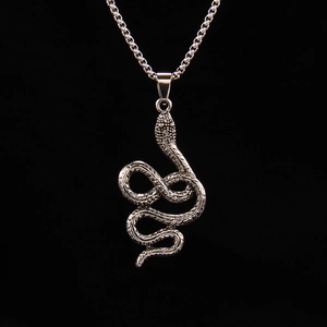 Collier Pendentif Serpent Punk Hip-Hop pour Hommes Femmes Chaîne en Acier Inoxydable Alliage Bijoux Gothiques Rétro