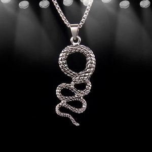 Gothic Personality Snake Stainless Steel Necklace For Men Women Dark Minimalist Style S-Shape Alloy Pendant With Box Chain