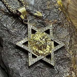 Vue détaillée d'un pendentif lion hexagramme doré serti de zircons cubiques brillants