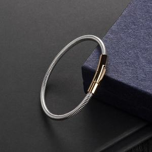 Detail of silver snake chain bracelet with gold magnetic clasp on premium jewelry box