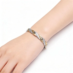 Detail of magnetic bracelet with golden polished links and silver dragon scale textures