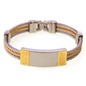 Detail of two-tone braided stainless steel bracelet featuring classic meander pattern