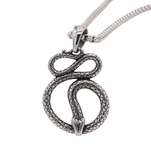 Vintage Stainless Steel Snake Pendant Necklace For Men Women Gothic Punk Style Animal Jewelry Antique Silver Tone Accessory