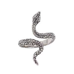 Detailed macro view of the silver snake ring showing intricate scales and coiled structure